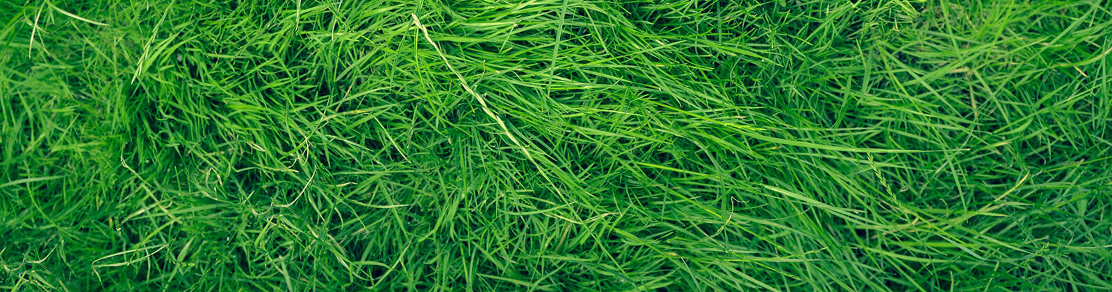 recruiting operations